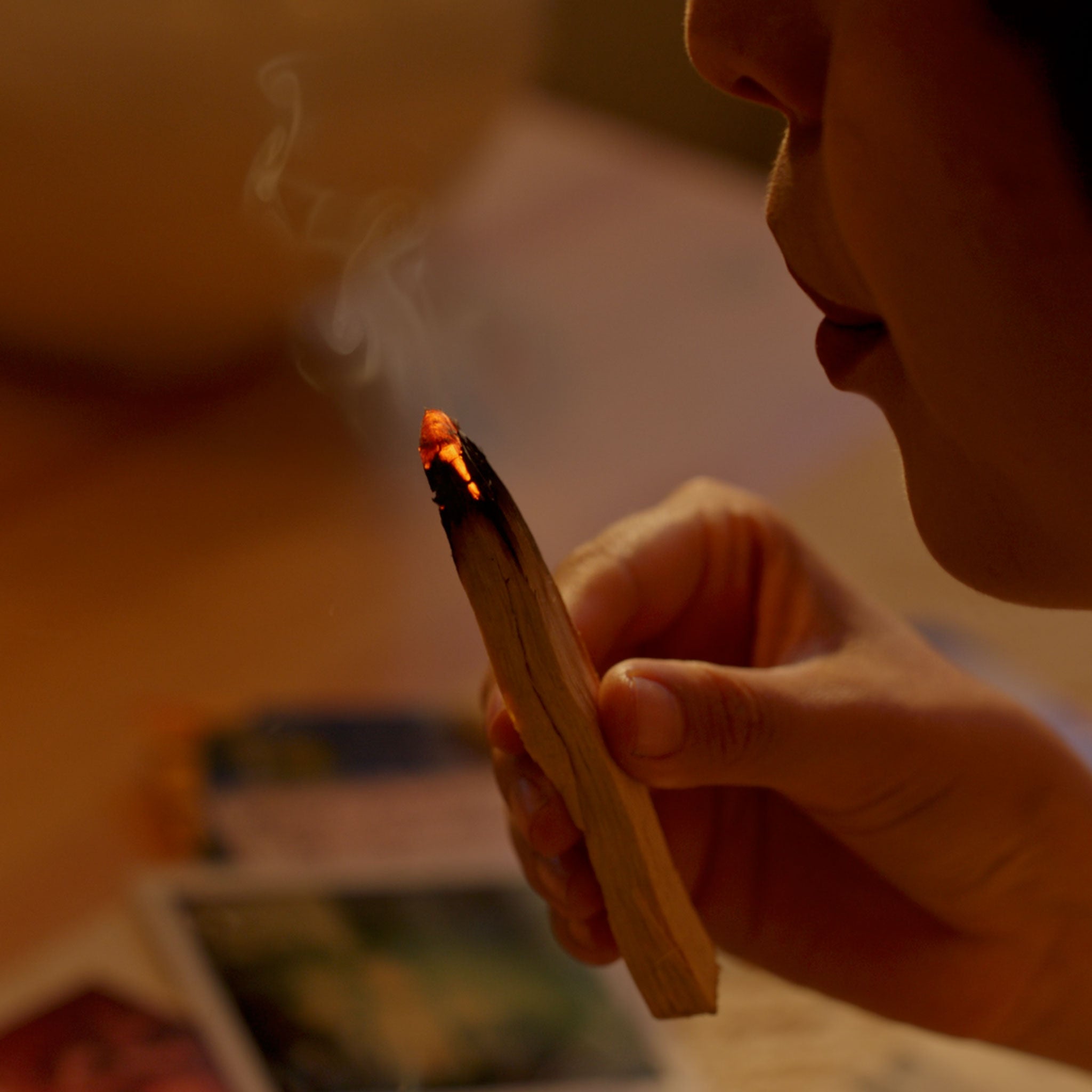 Palo Santo Set (3 Sticks)